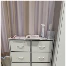 루틴펫살롱 이미지