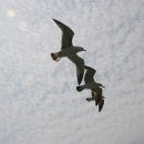 바다가있는풍경 이미지