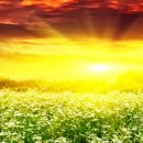 아름다운쉼터 이미지