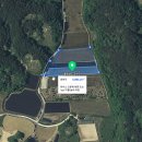 위드 태양광발전소 이미지