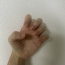 마곡 네일 도노네일 마곡 본점에서 겨울 네일아트하고 왔어요