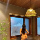 컨추리바이브 이미지