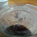 성철농장 이미지