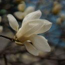 (주)엘지유통 이미지