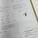 데이즈앤이얼즈