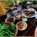 동강자연속으로 이미지