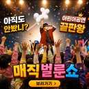 보람어린이집 | 벌룬쇼 섭외문의 청도 밀양 어린이집 유치원 풍선 마술공연 후기사진