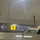 용왕산실내배드민턴장 | 목동 노을 야경 맛집 용왕산 스카이워크 신목동에서 가는법