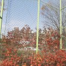 새터근린공원 이미지