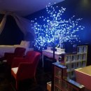 레몬트리무인텔모텔 이미지