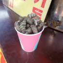 파레스사우나 이미지