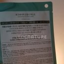 노*빈