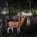 내정 어린이공원 이미지