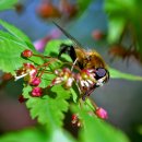 이학태농장 이미지