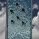 그란피코 이미지