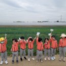 원이네농장 이미지