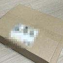 (주)세스파인 | 가을 남자 향수 에르게니아 앱세스머스크 남자 향수선물용으로 좋은 포근 묵직한 머스크 향수