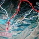 내장산논실