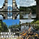 새벽농장 | 발리 우붓 동부투어 렘푸양 사원, 띠르따 강가, 투카드 세풍 폭포, 커피 농장 방문 내돈내산 후기