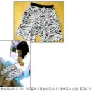 구제의류 Daum카페