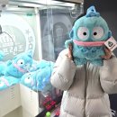 강동오락실 이미지