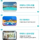 라테라스 이미지