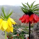 반포삼정공인중개사사무소 이미지