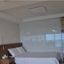 파니아토 이미지