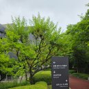 스테이 남양 | 화성/남양 롤링힐스호텔 디럭스 트윈룸 정원전망 호캉스 숙박 조식 후기