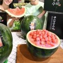 이석농장 이미지