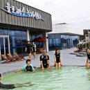 율포해수녹차센터 이미지