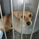 서경석동물병원 이미지