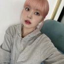 릴리핑크