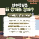 이루아동물병원 이미지