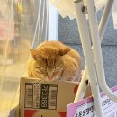 정원포차 이미지