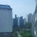 새하늘공인중개사사무소 이미지