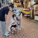 은행나무시장 3 이미지