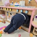 시립힐스테이트평택더퍼스트 어린이집