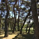 민주지산자연휴양림 이미지