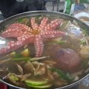 문어시대 이미지