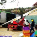 여주-0024 이미지