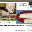 물고기세상 이미지