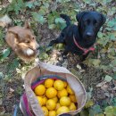 남해-275 이미지