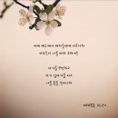 진심에서 나온 사죄의 아름다움 이미지