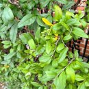 메세나메디칼 | [2021 K-BEAUTY EXPO] 대한민국 뷰티박람회 킨텍스, 뷰티템가득~ 방문후기!