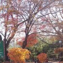 연암도서관 | 아빠와연암도서관후기!!(20251129토)