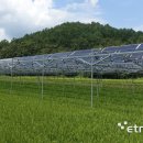 영광2 태양광발전소 이미지