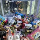 골든몽키펜션 이미지