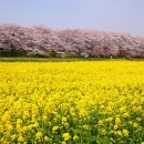 봉천한의원 이미지