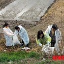 클린환경노동조합 이미지